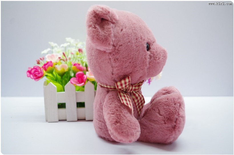 泰迪熊公仔图片