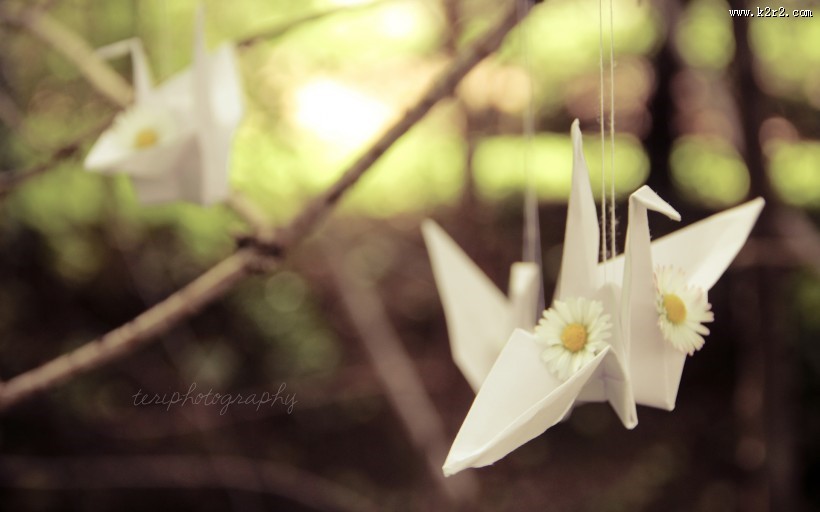 唯美的千纸鹤图片