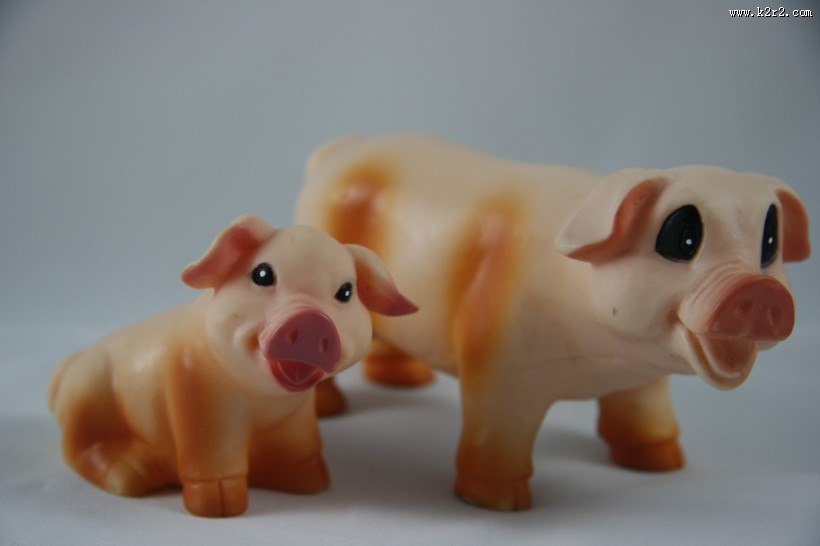 小猪玩具图片