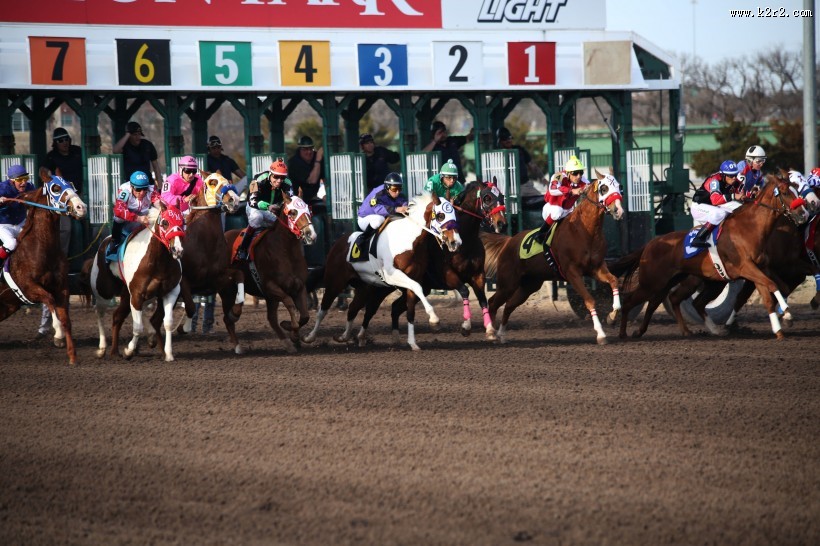 紧张刺激的赛马比赛图片