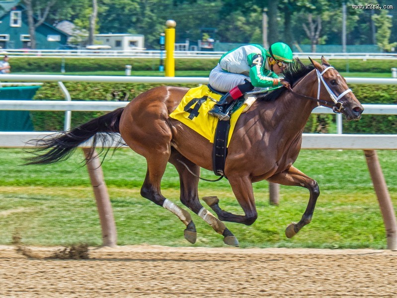 紧张刺激的赛马比赛图片