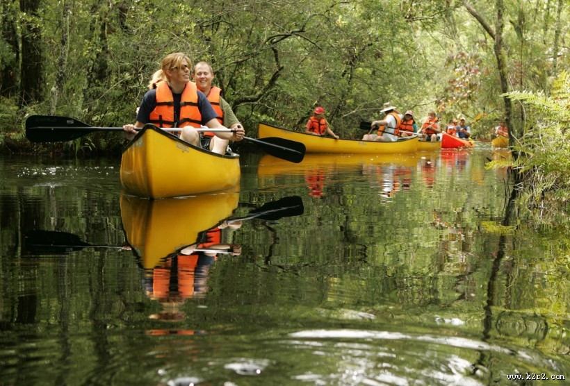 正在划船的人图片