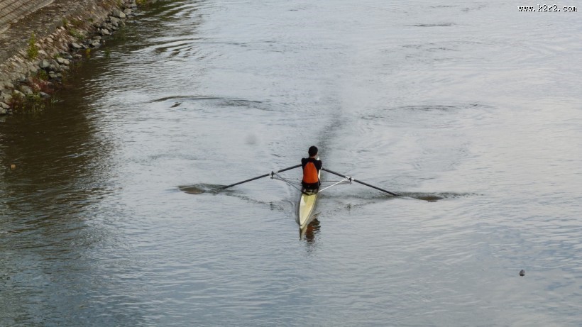 正在划船的人图片
