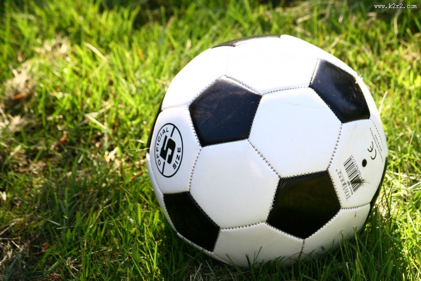 草地上的足球图片