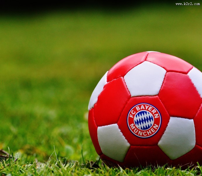 草地上的足球图片