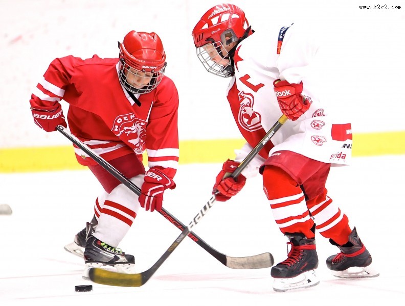 曲棍球运动图片大全