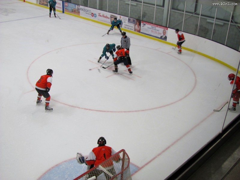 曲棍球运动图片大全