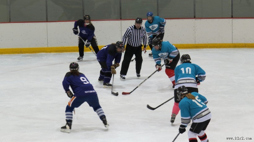 曲棍球运动图片大全