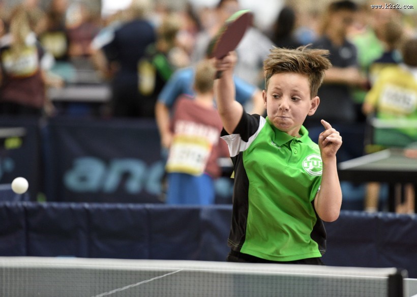 正在打乒乓球的小孩图片