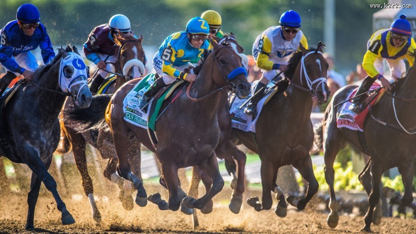 赛马比赛图片