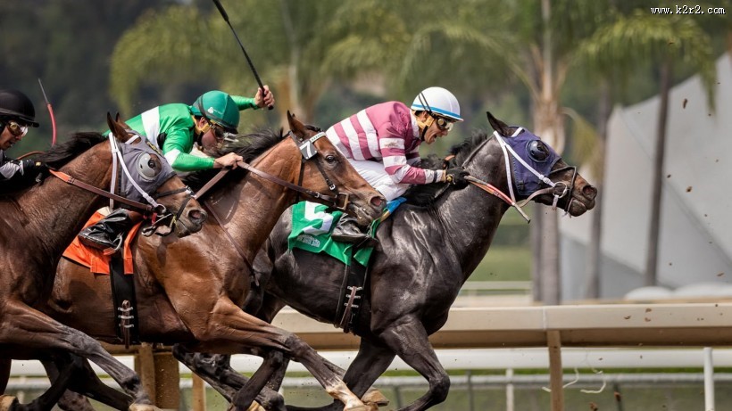 赛马比赛图片