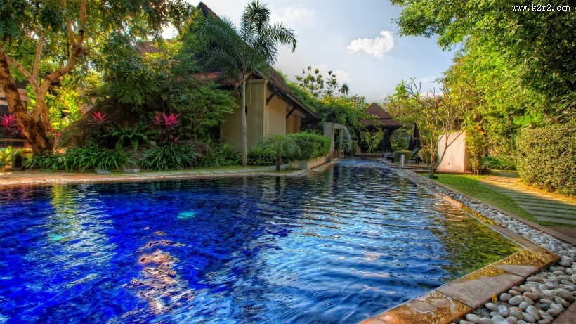 清澈的游泳池图片