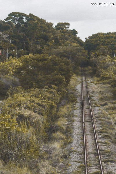 火车铁轨的图片