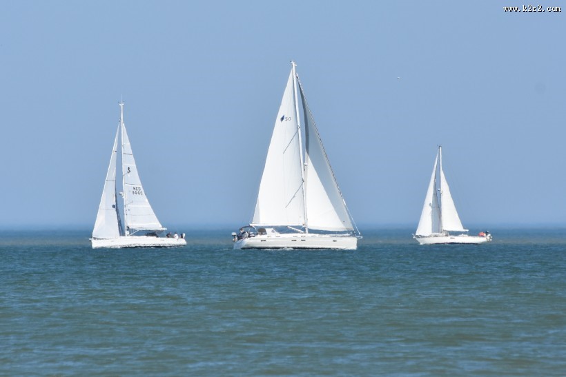 海面的帆船图片