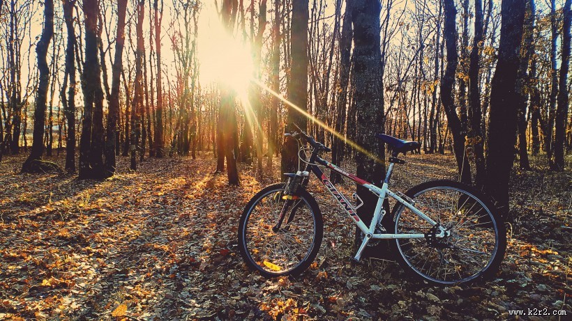精美的自行车图片