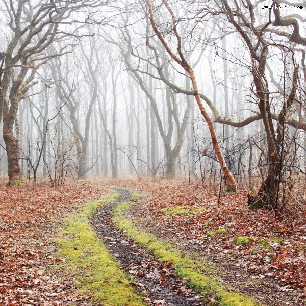 向远处延伸的公路图片