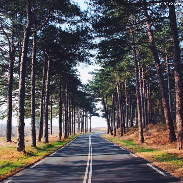 向远处延伸的公路图片