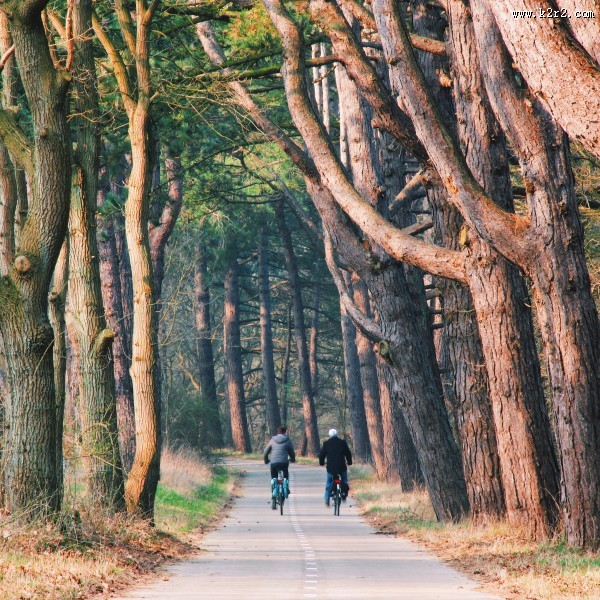 向远处延伸的公路图片
