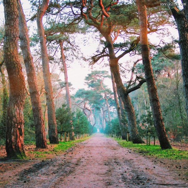 向远处延伸的公路图片