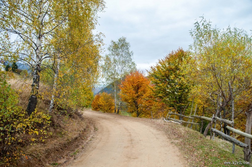 乡间泥泞的土路图片