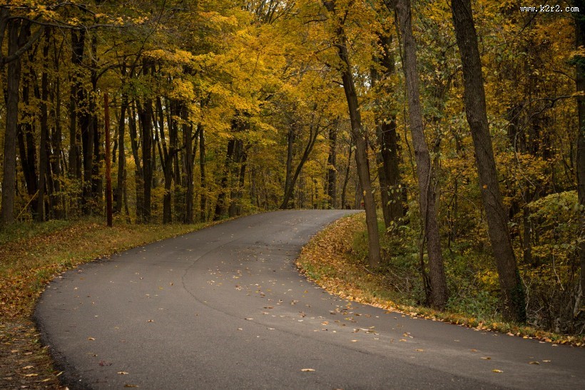 弯弯的沥青公路图片