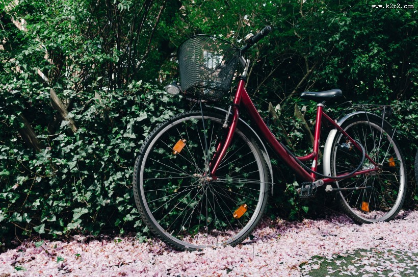 代步的自行车图片大全