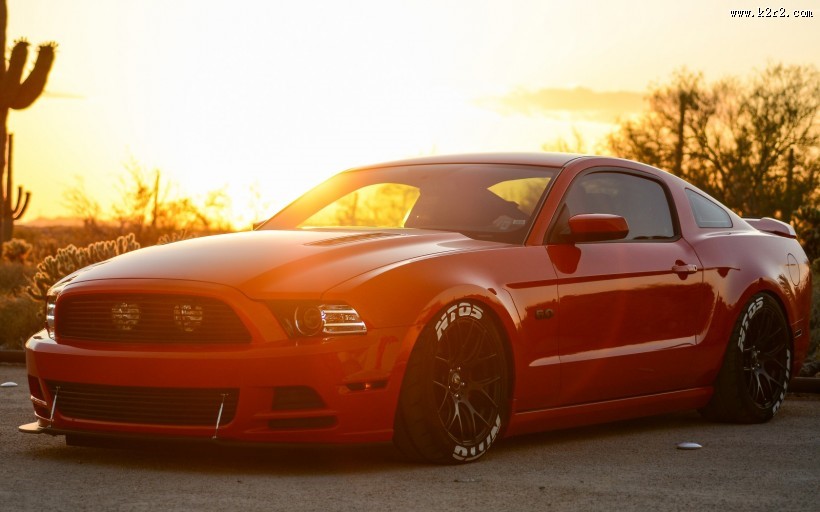 福特野马汽车图片大全