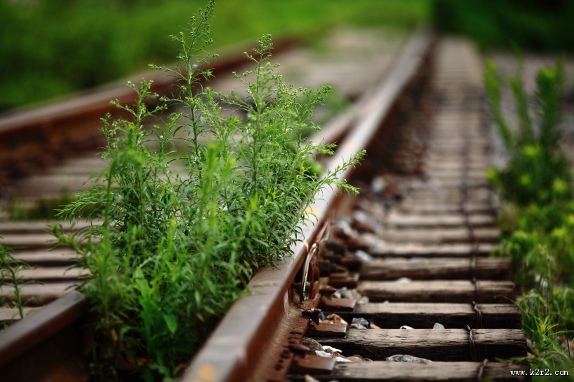 历史记忆中的铁路图片