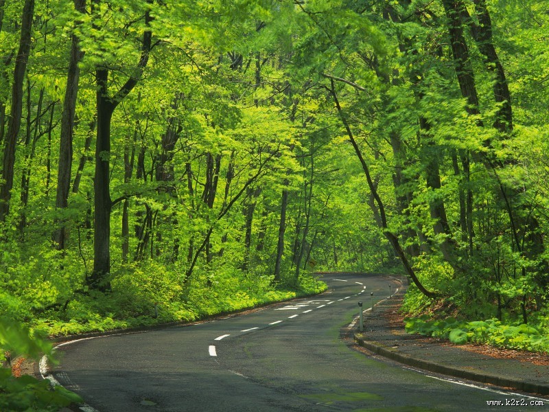 道路、公路图片大全