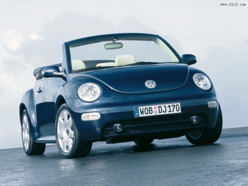 甲壳虫图片大全