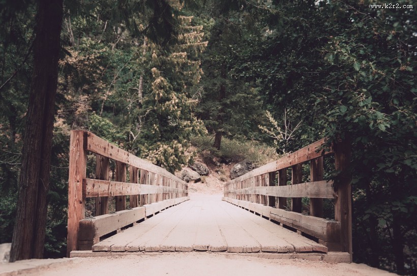 木制的栈道图片