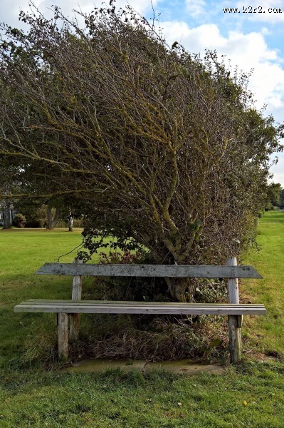 露天的长椅图片