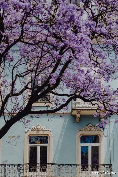 葡萄牙里斯本的建筑图片