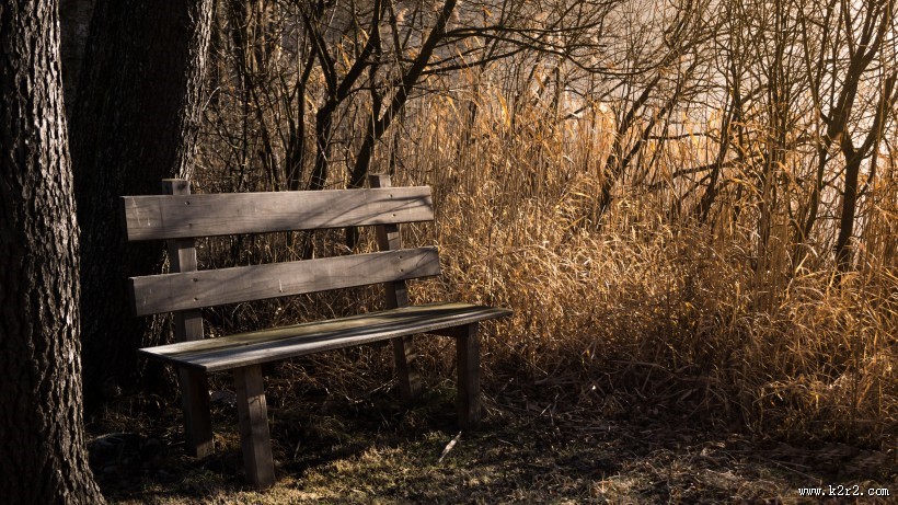 秋天公园里的长椅图片