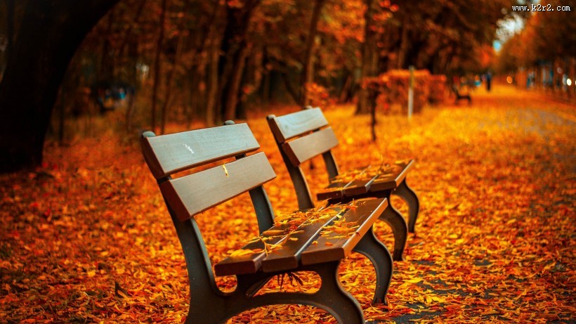 秋天公园里的长椅图片