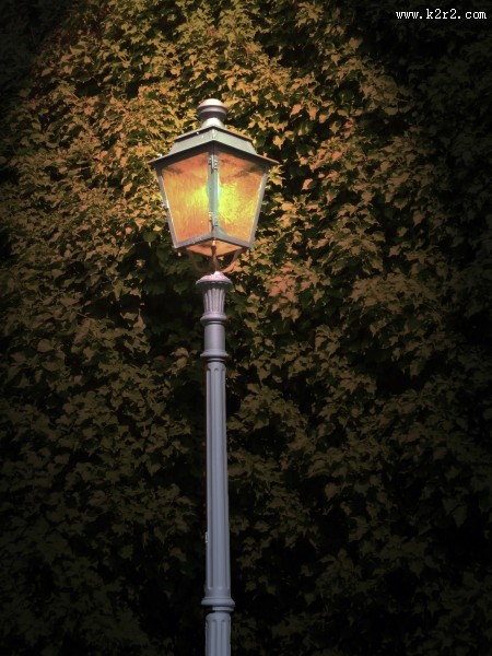 照明了的路灯图片大全