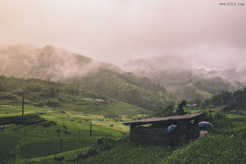 独特的木头屋图片