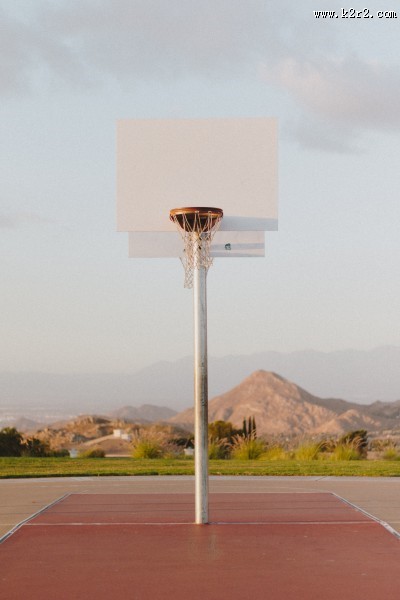 篮球架上的篮球框图片大全