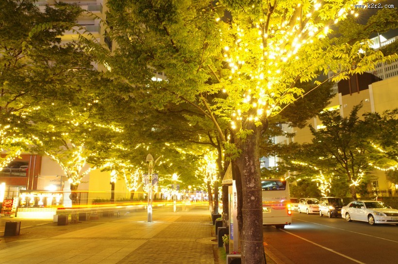 日本表参道的照明灯图片