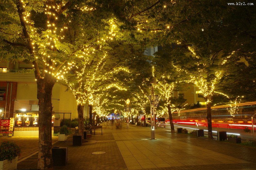 日本表参道的照明灯图片