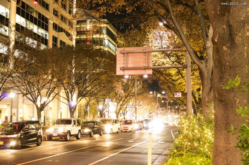 日本表参道的照明灯图片