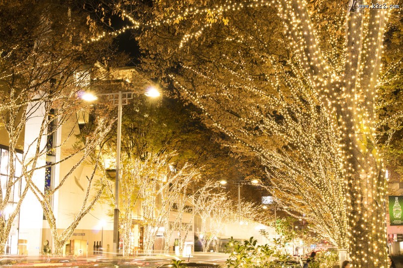 日本表参道的照明灯图片