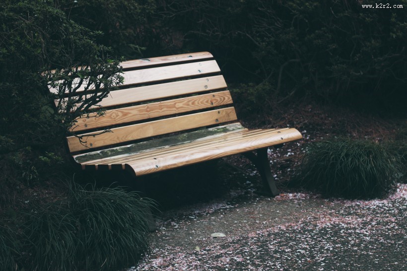 户外木制的长椅图片大全