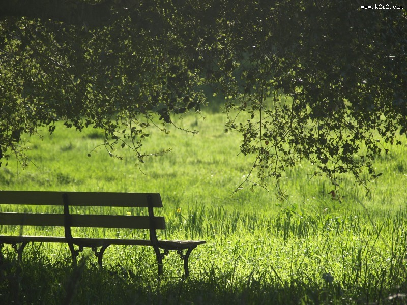户外木制的长椅图片大全