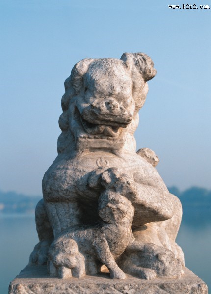 可爱的小石狮图片