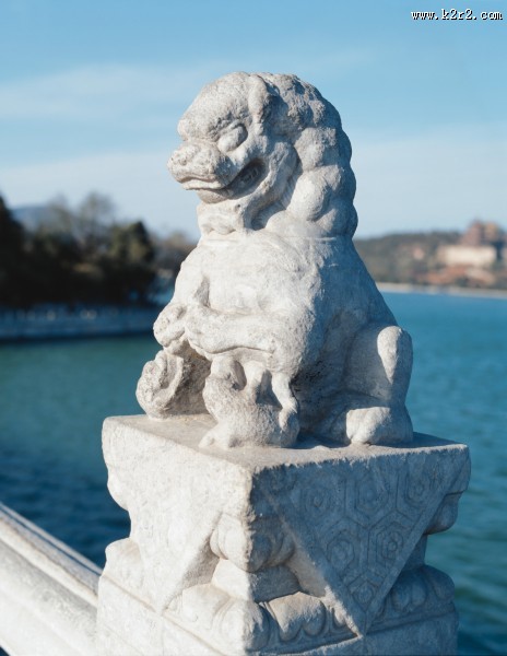 可爱的小石狮图片