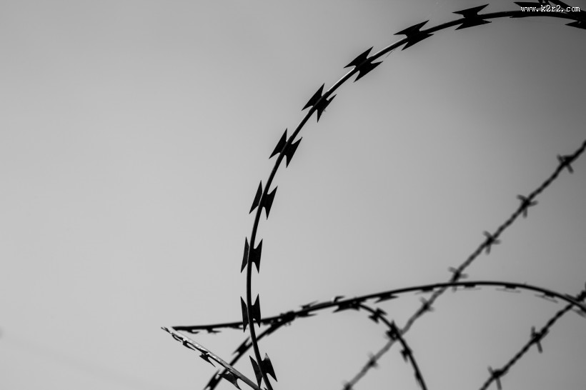 铁丝网图片大全