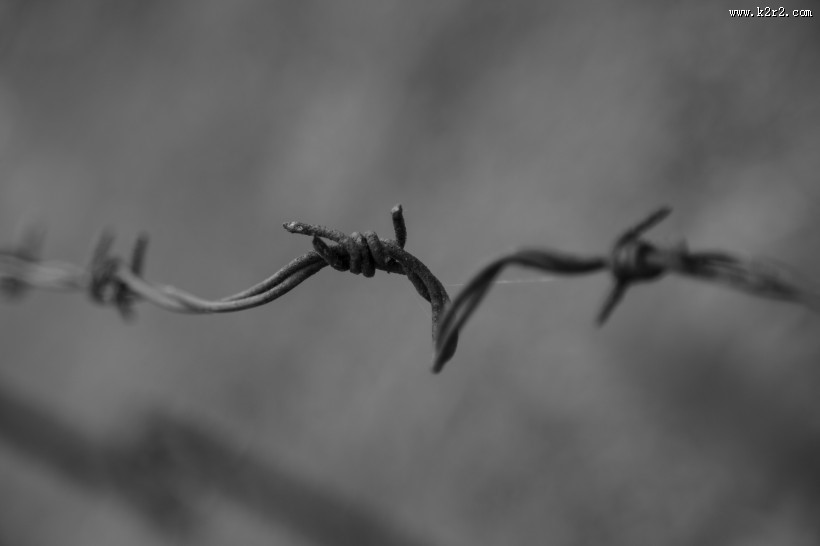 铁丝网图片大全