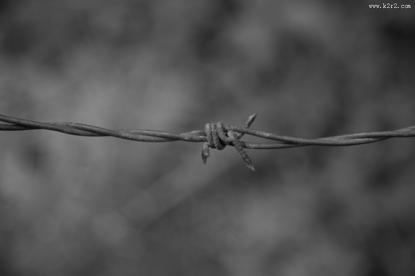 铁丝网图片大全