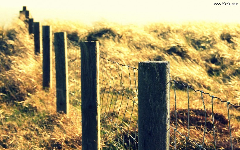 篱笆图片